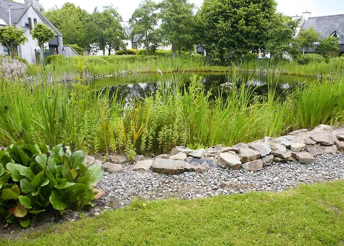 Дом отдыха Blainroe Cottage *